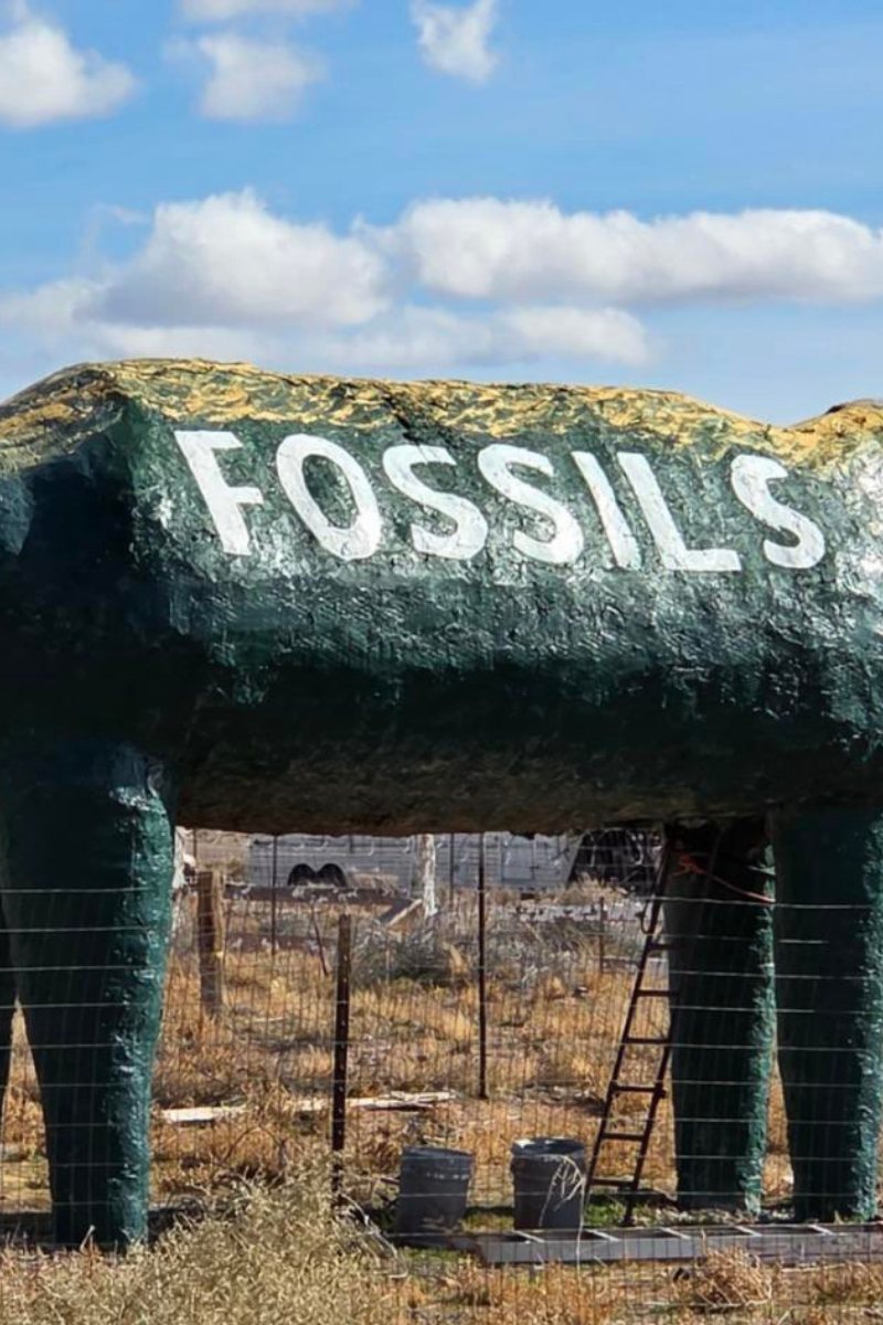 Fossils sign